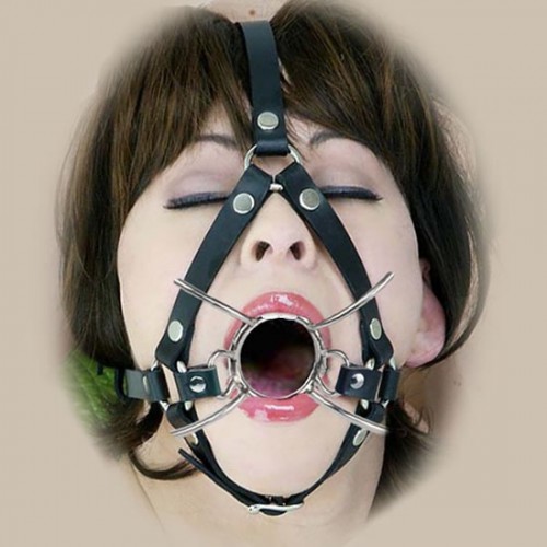 Harness Metal Open Mouth Spider Gag
