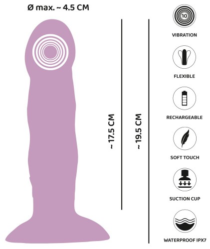 Dildos, Buttplugs & Sextoys